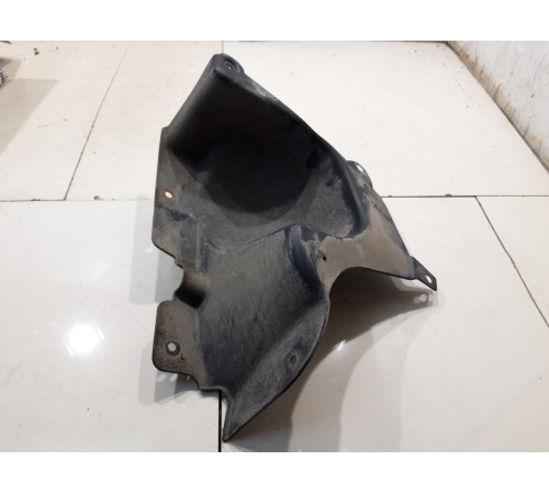 защита стойки амортизатора (задняя правая)