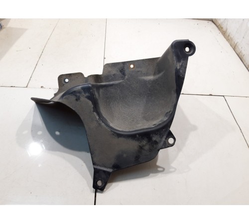 защита стойки амортизатора (задняя правая)