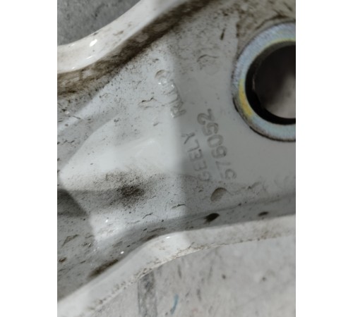 Петля двери задняя левая нижняя