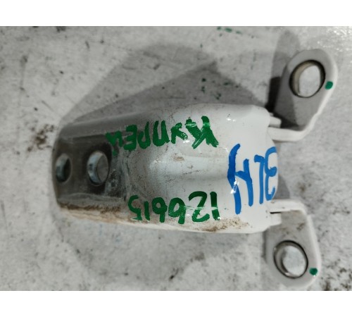 Петля двери задняя левая нижняя