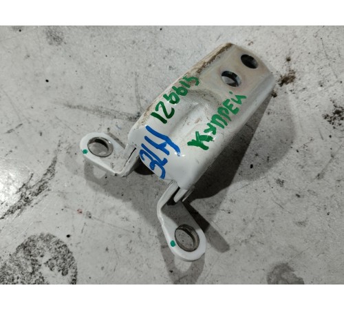 Петля двери задняя левая нижняя