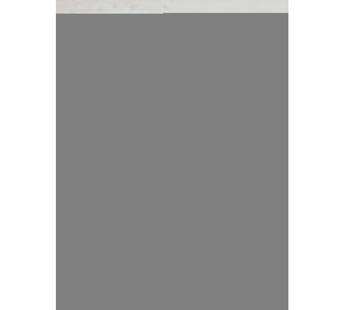 Динамик высокочастотный