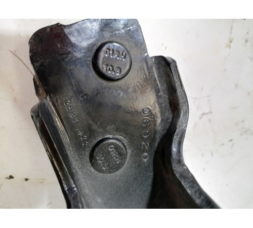 Петля двери задняя правая нижняя