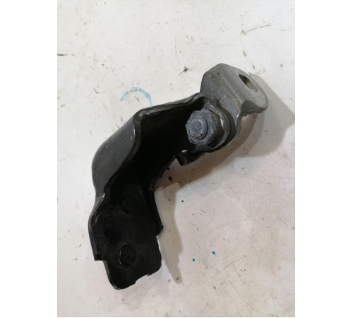 Петля двери задняя правая нижняя