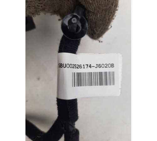 Электропроводка обшивки двери(задняя правая)