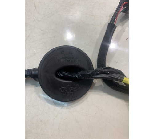 Электропроводка двери (задняя, правая)