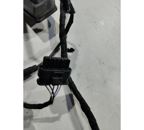 Электропроводка двери (передняя правая)