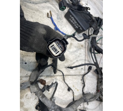 Электропроводка моторная