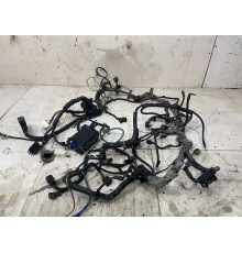 Электропроводка моторная