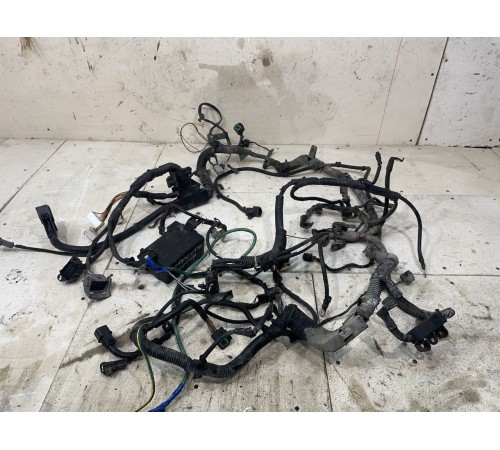 Электропроводка моторная