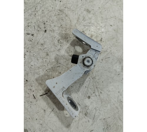 Петля двери задняя правая нижняя