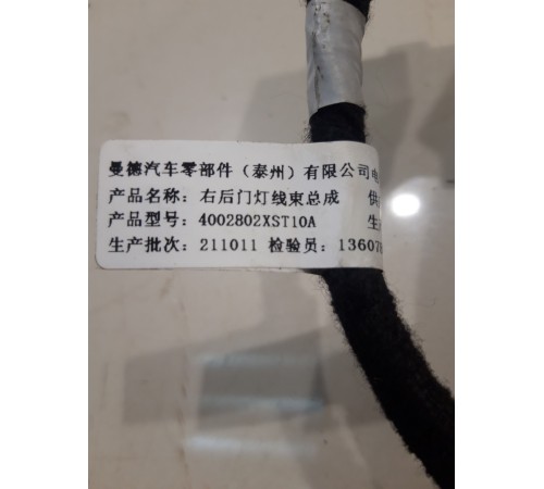 Электропроводка двери (задняя, правая)