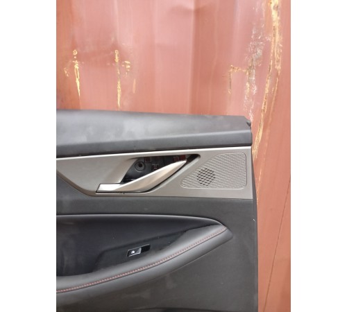 Обшивка двери задняя левая