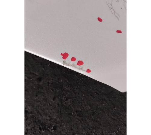 Крыло переднее правое