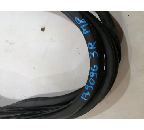 Уплотнитель двери (задний, правый)