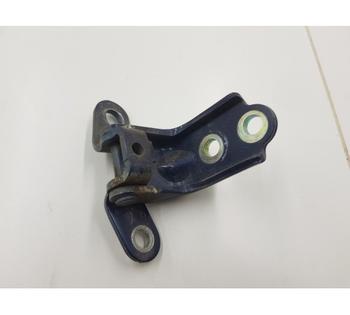 Петля двери задняя правая нижняя