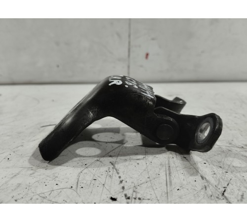 Петля двери(передняя правая нижняя)