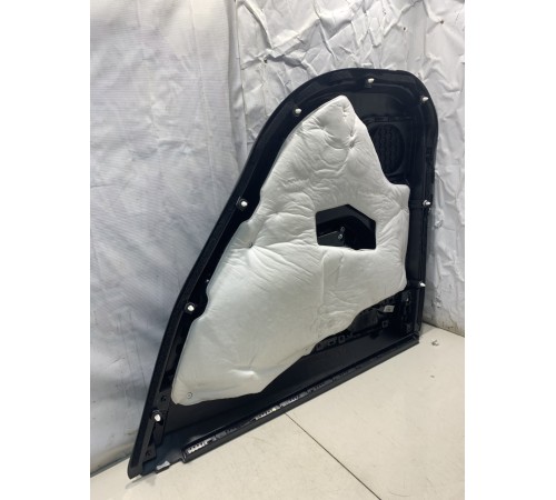 Обшивка двери (задняя, левая)