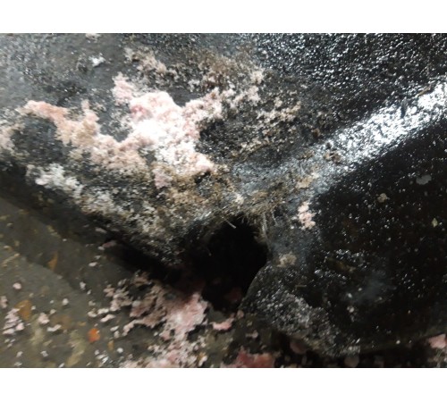 Защита двигателя