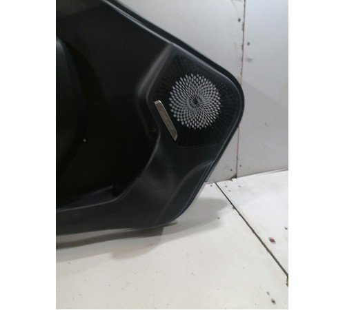 Обшивка двери задняя левая