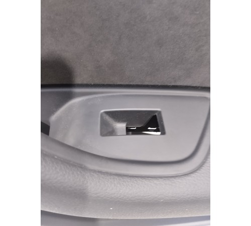 Обшивка двери (задняя правая)