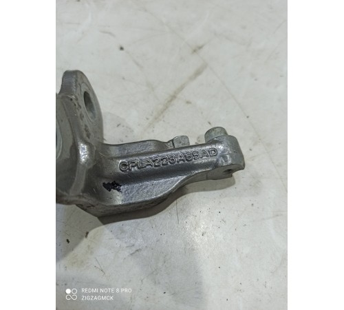 Петля двери(передняя левая нижняя)