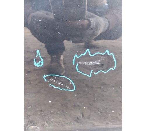 Дверь(передняя левая)