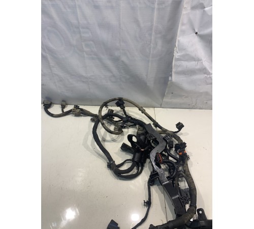 Электропроводка моторная