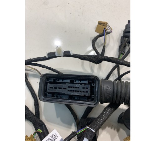 Электропроводка двери (задняя, левая)