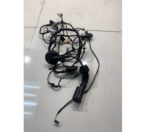 Электропроводка двери (задняя, левая)