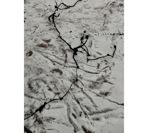 Электропроводка салона