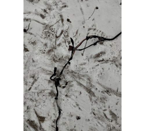 Электропроводка салона