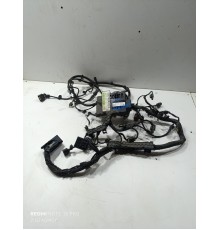 Электропроводка двигателя 2,0