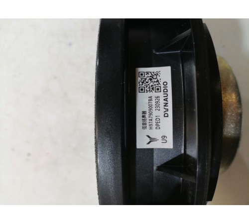 Динамик двери