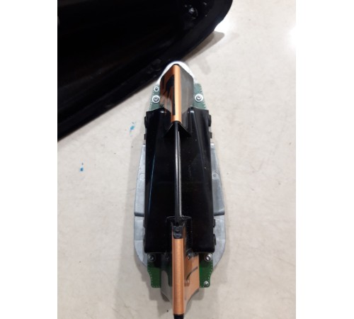 Антенна (плавник)