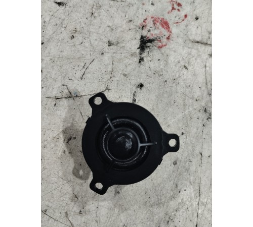 Динамик двери высокочастотный задний левый