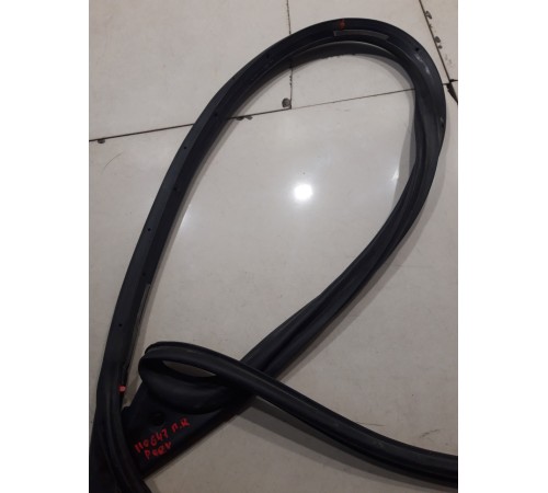 Уплотнитель двери(передний правый)