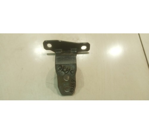 Петля двери (передняя, левая, нижняя)