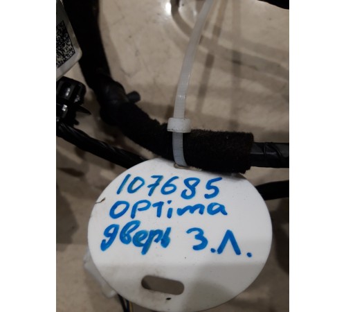 Электропроводка двери (задняя левая)