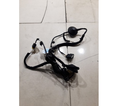 Электропроводка двери (задняя левая)