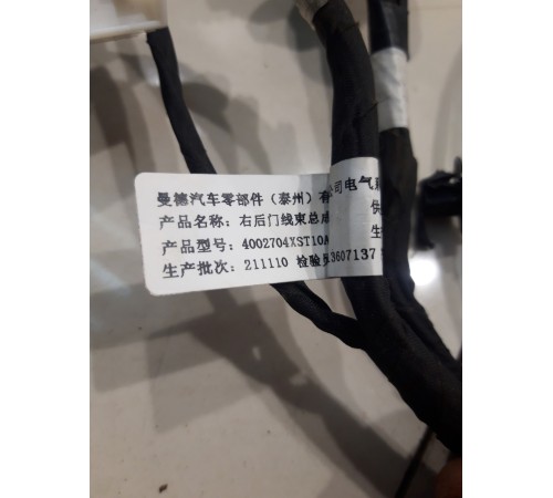 Электропроводка двери (задняя, правая)