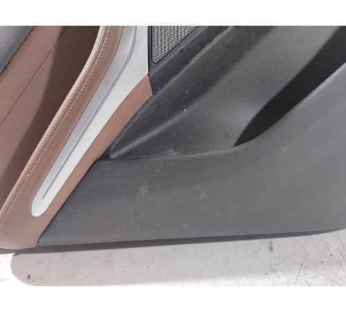 Обшивка двери (задняя левая)