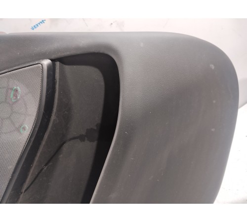 Обшивка двери (задняя левая)