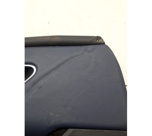 Обшивка двери (передняя, левая) (с подсветкой)