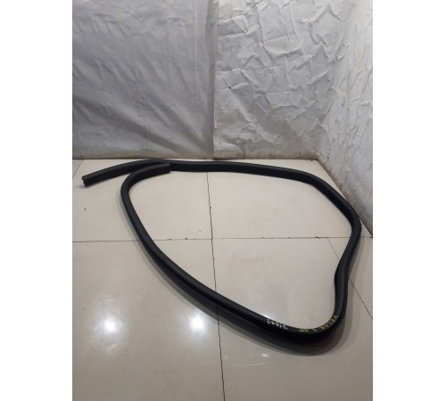 Уплотнитель двери (задний, правый)