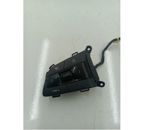 Кнопки руля многофункциональные