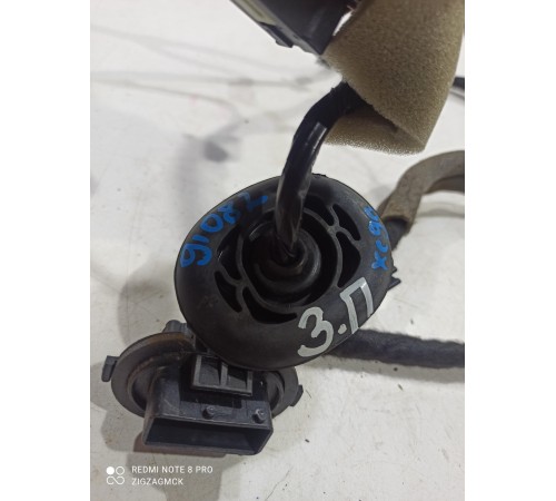 Электропроводка двери (задняя правая)