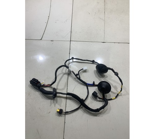 Электропроводка двери (задняя правая)