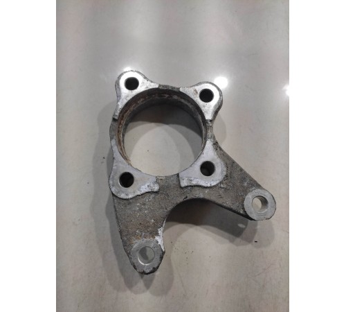 Поворотный кулак (задний, левый)