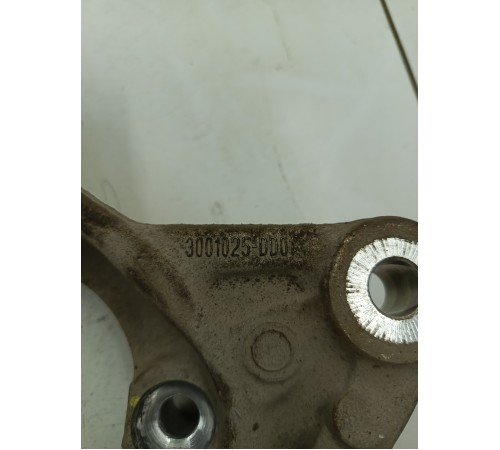 Кулак поворотный передний левый